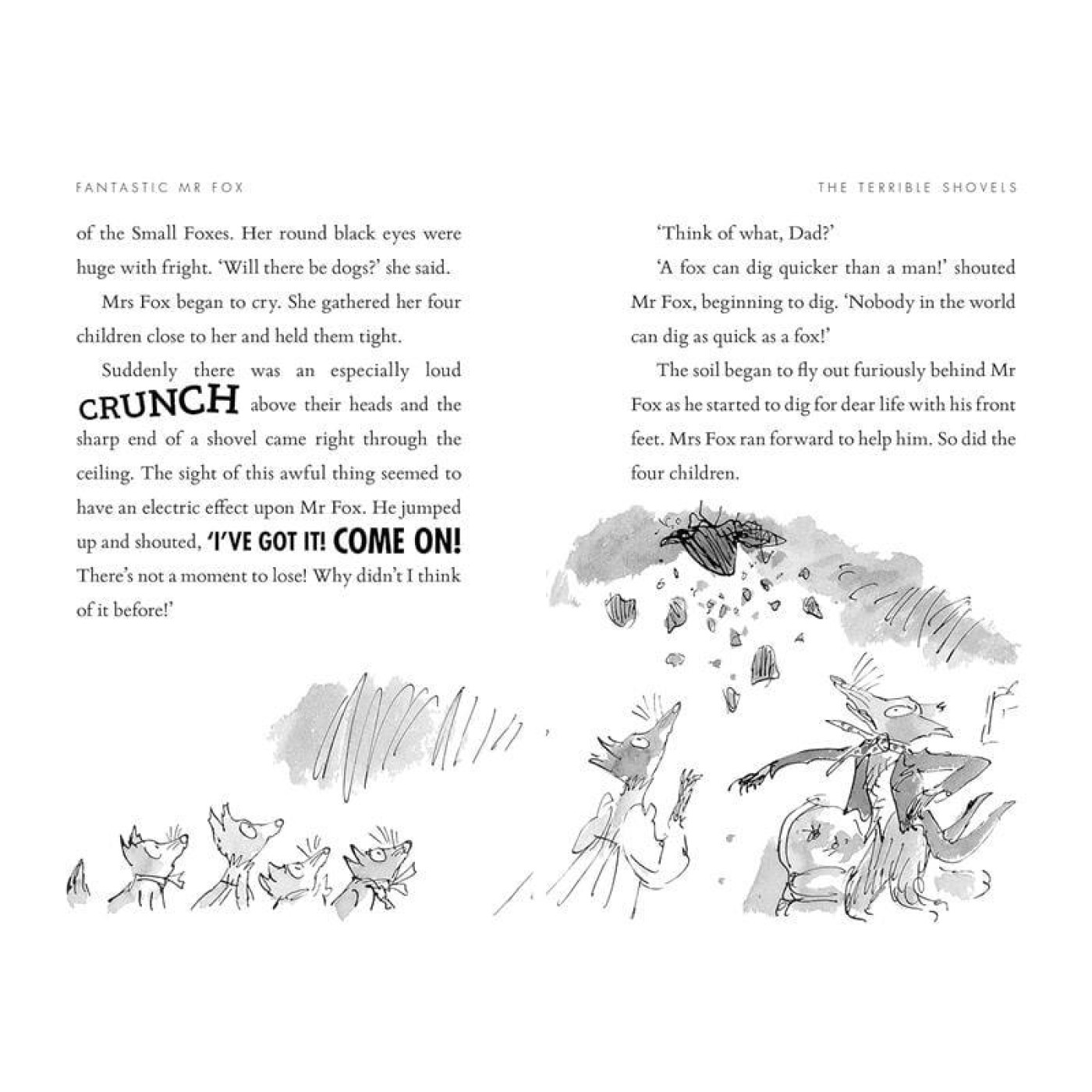 Fantastic Mr Fox - Paperback - 9780241558355 Fantastic Mr Fox - Paperback - 9780241558355 - 9780241558355