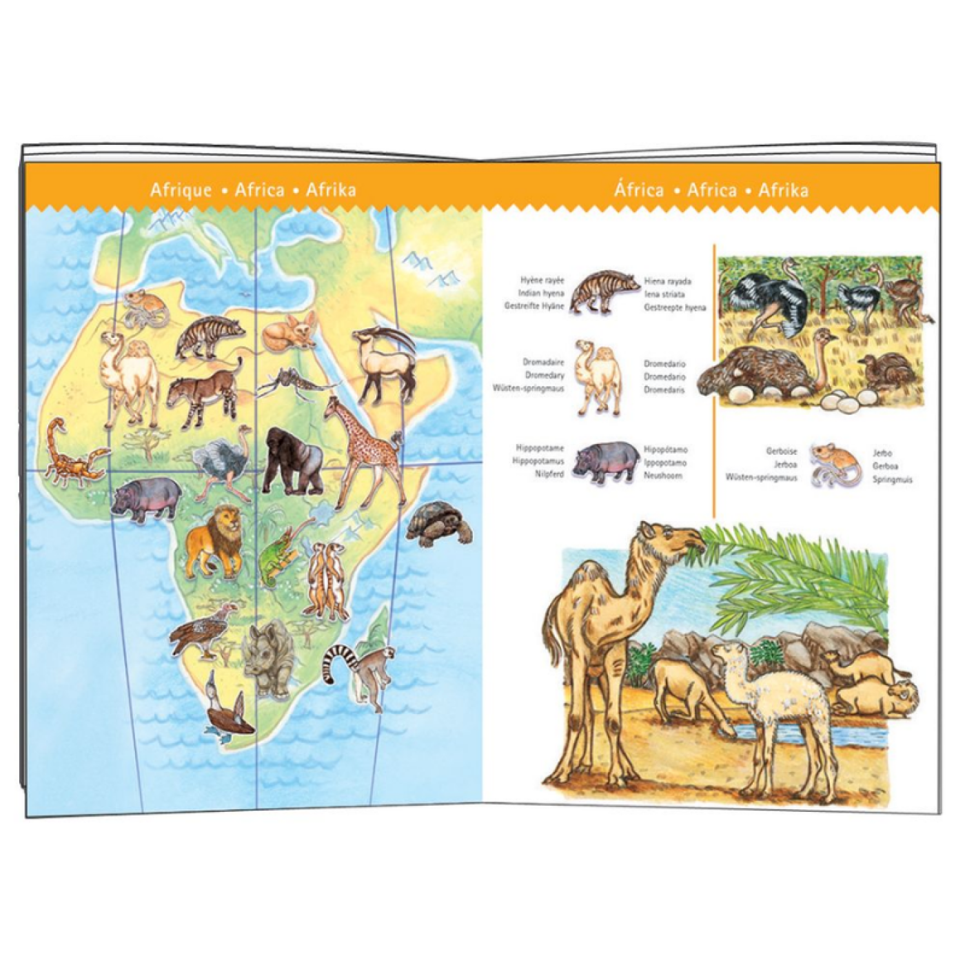 Djeco Klasik Puzzle 100 Parça - WorldS Animals - 3070900074200 - 3070900074200