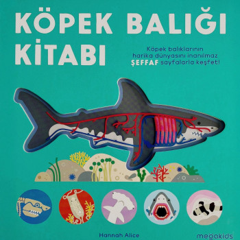 Megakids Yayıncılık - Köpek Balığı Kitabı