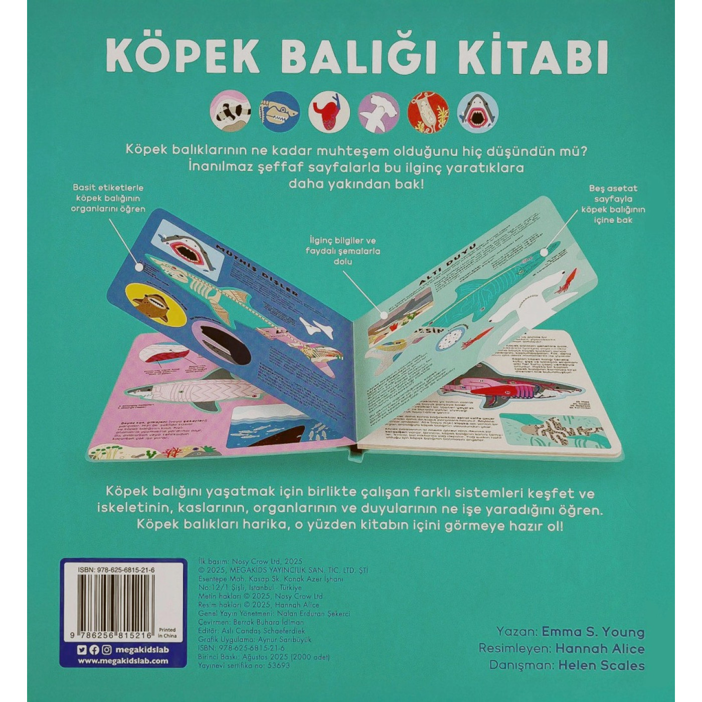 Köpek Balığı Kitabı - 9786256815216 - 9786256815216