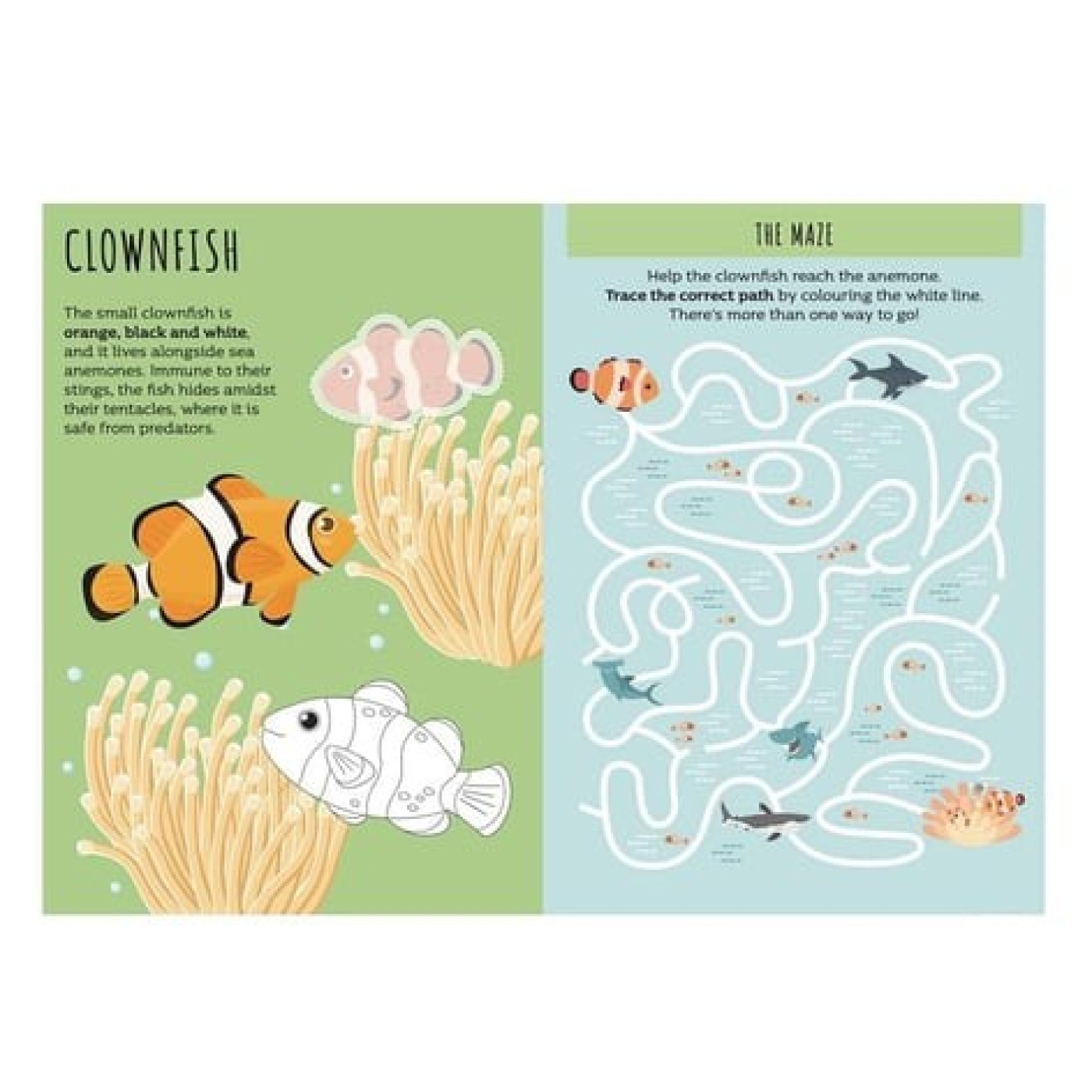 Sticker Ve Aktivite Kitabı - Deniz - 9788830313262 - 9788830313262