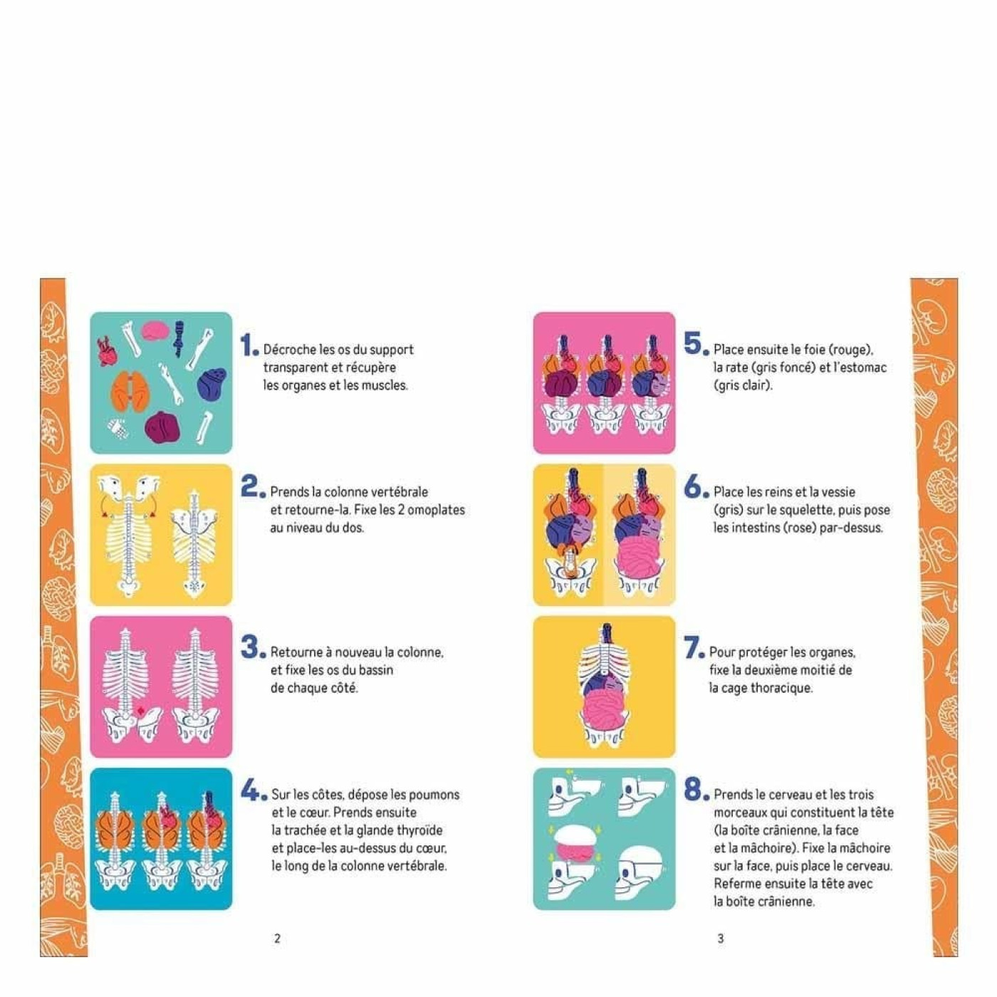 İnsan Vücudunu Keşfediyorum Poster -Model ve Kitap - 9791039544702 - 9791039544702