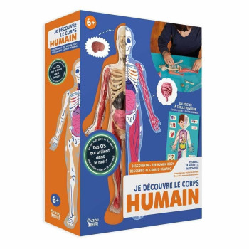 İnsan Vücudunu Keşfediyorum Poster -Model ve Kitap İnsan Vücudunu Keşfediyorum Poster -Model ve Kitap