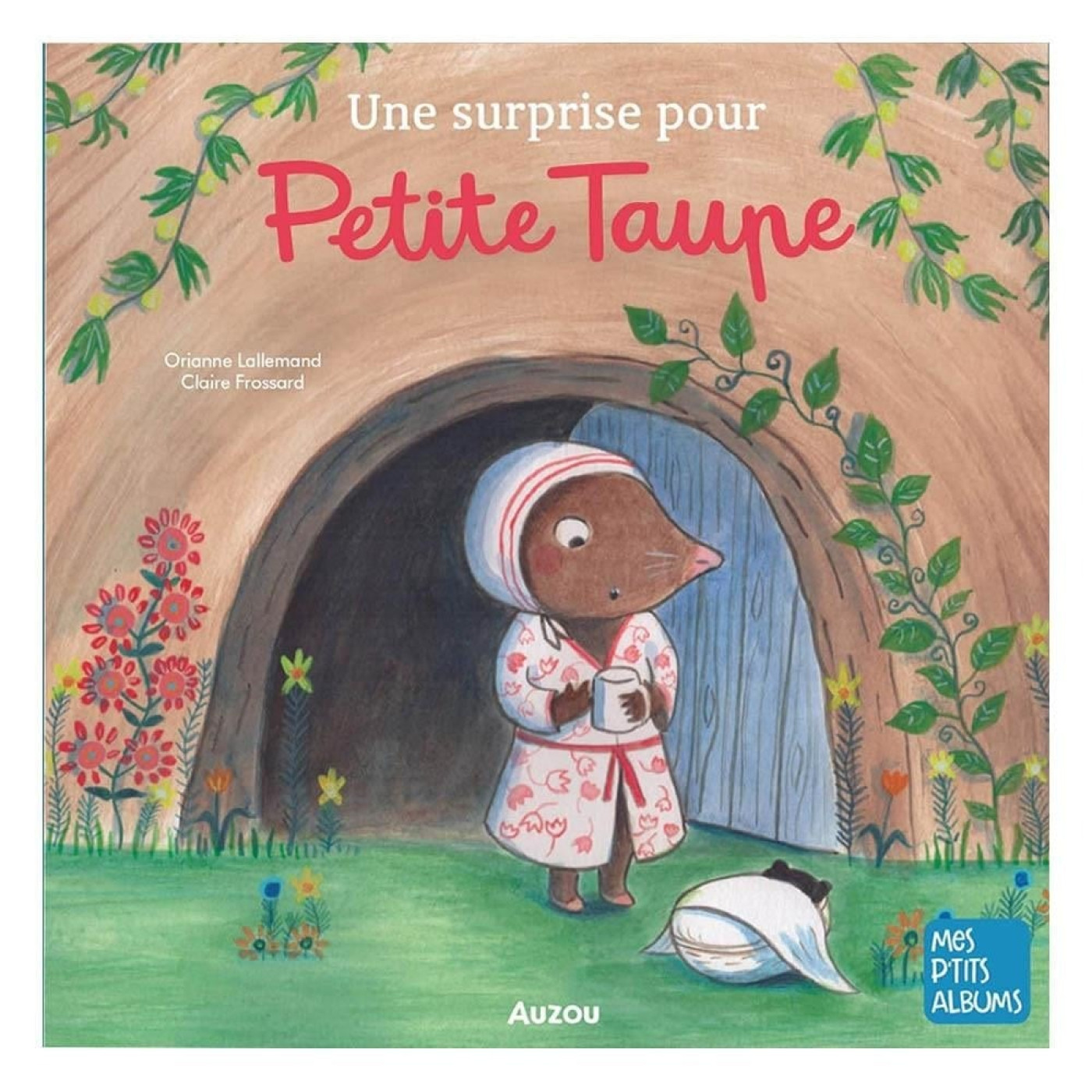 Une Surprise Pour Petite Taupe - 9791039507462 Une Surprise Pour Petite Taupe - 9791039507462 - 9791039507462