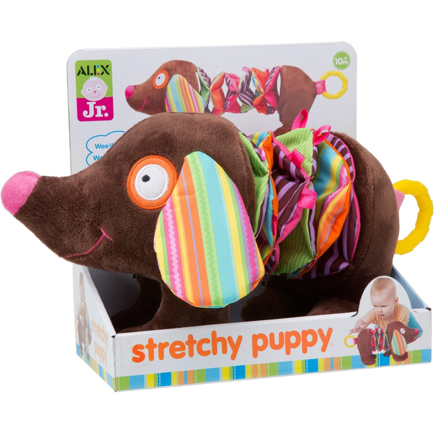Alex - Strecthy Puppy