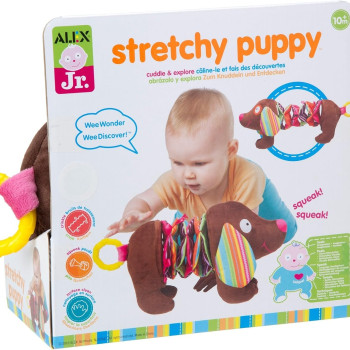 Alex - Strecthy Puppy
