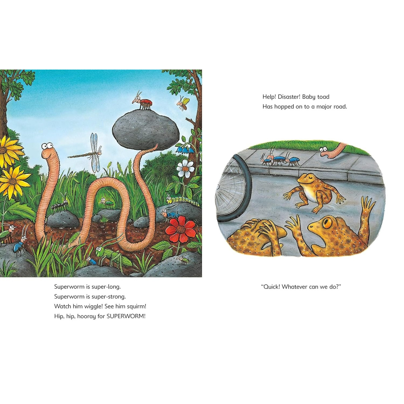 Superworm Early Reader