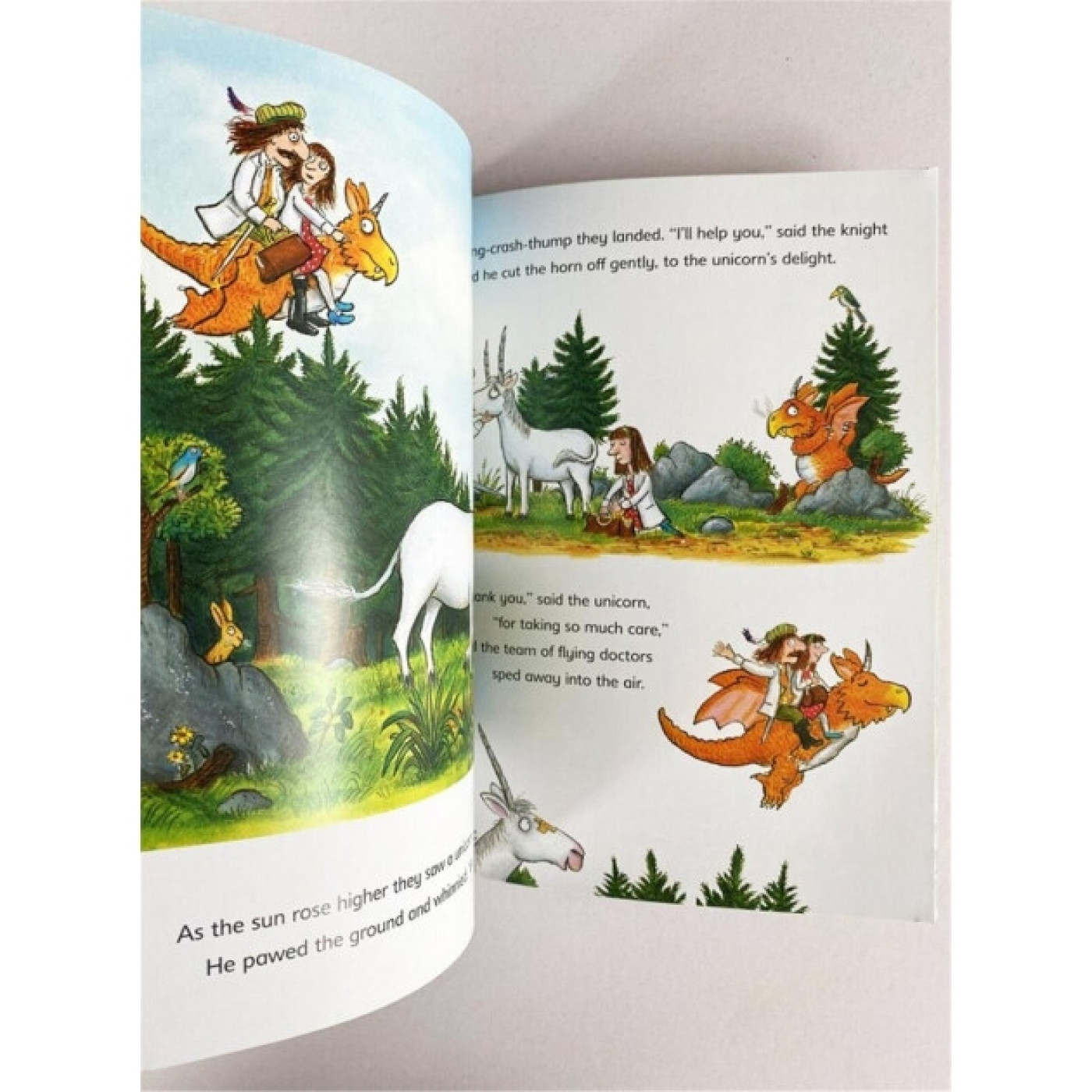 Zog And The Flying Doctors Early Reader Zog And The Flying Doctors Early Reader