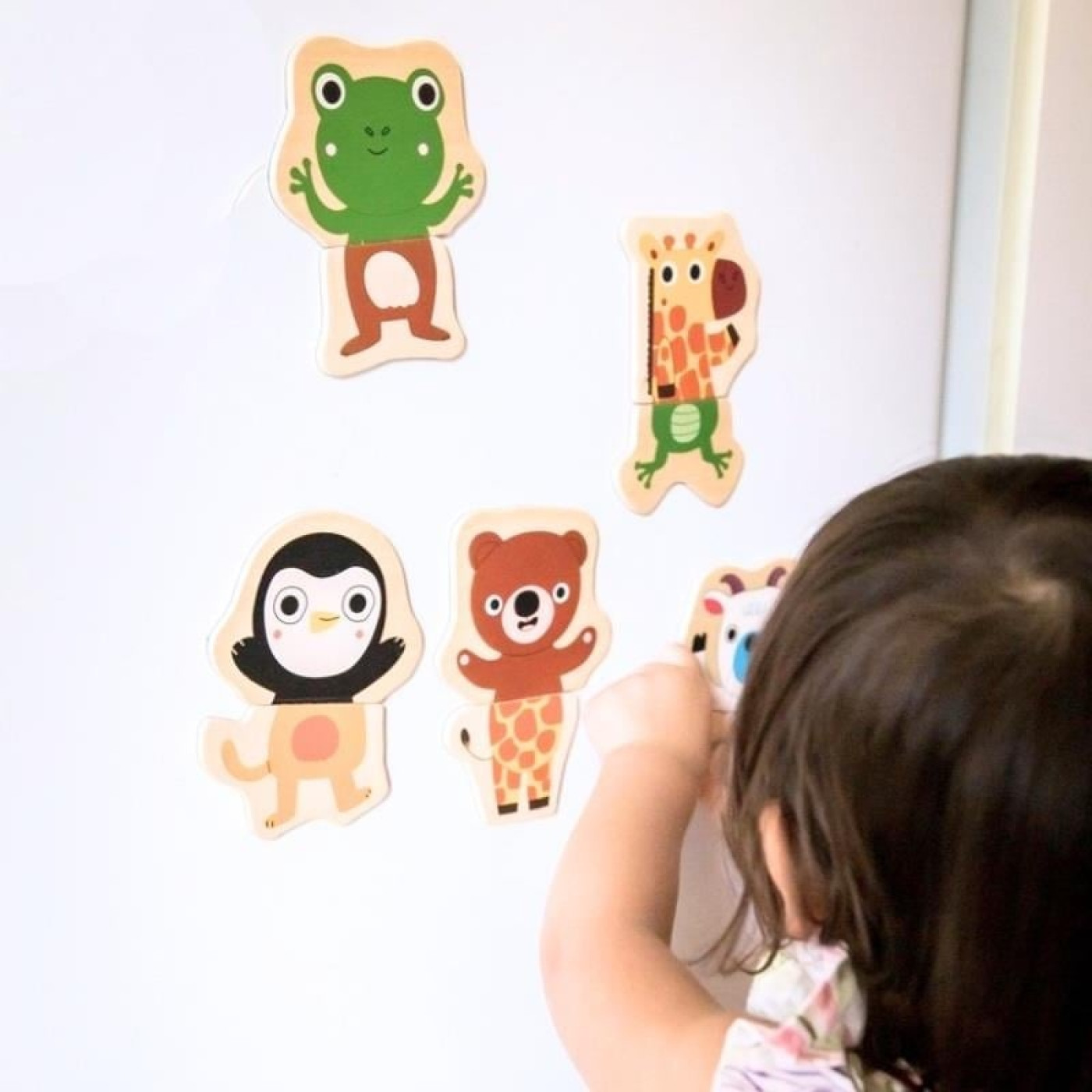 Djeco Mıknatıslı Oyunlar - Coucou - DJ03118 - 3070900031180