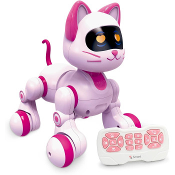 Uzaktan Kumandalı Robot Kedi