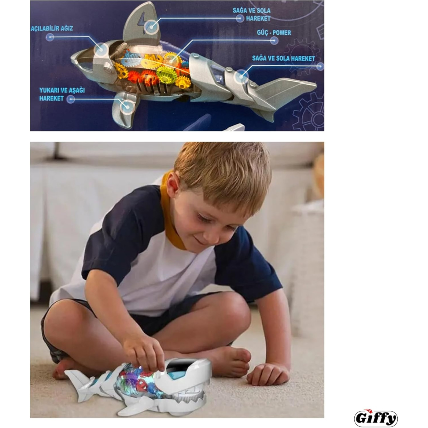 Köpekbalığı Araba