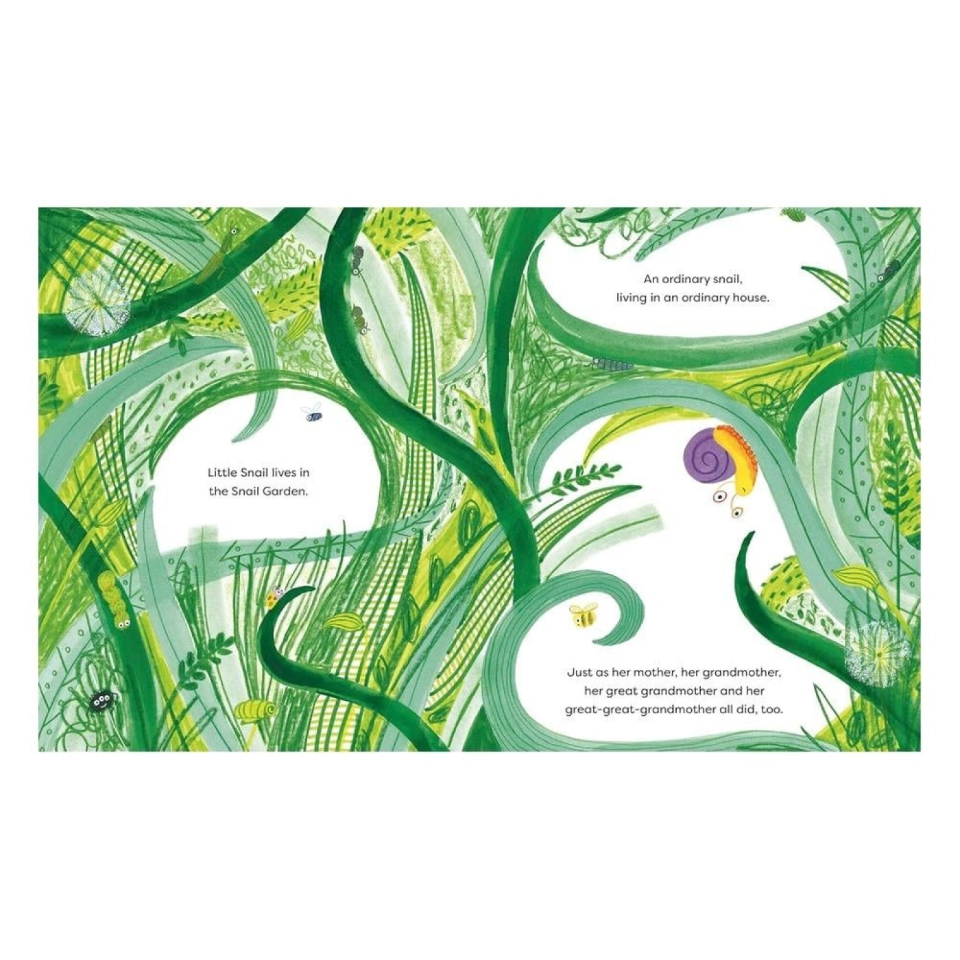 Little Snail Goes House-Hunting - 9780711292321 Little Snail Goes House-Hunting - 9780711292321 - 9780711292321