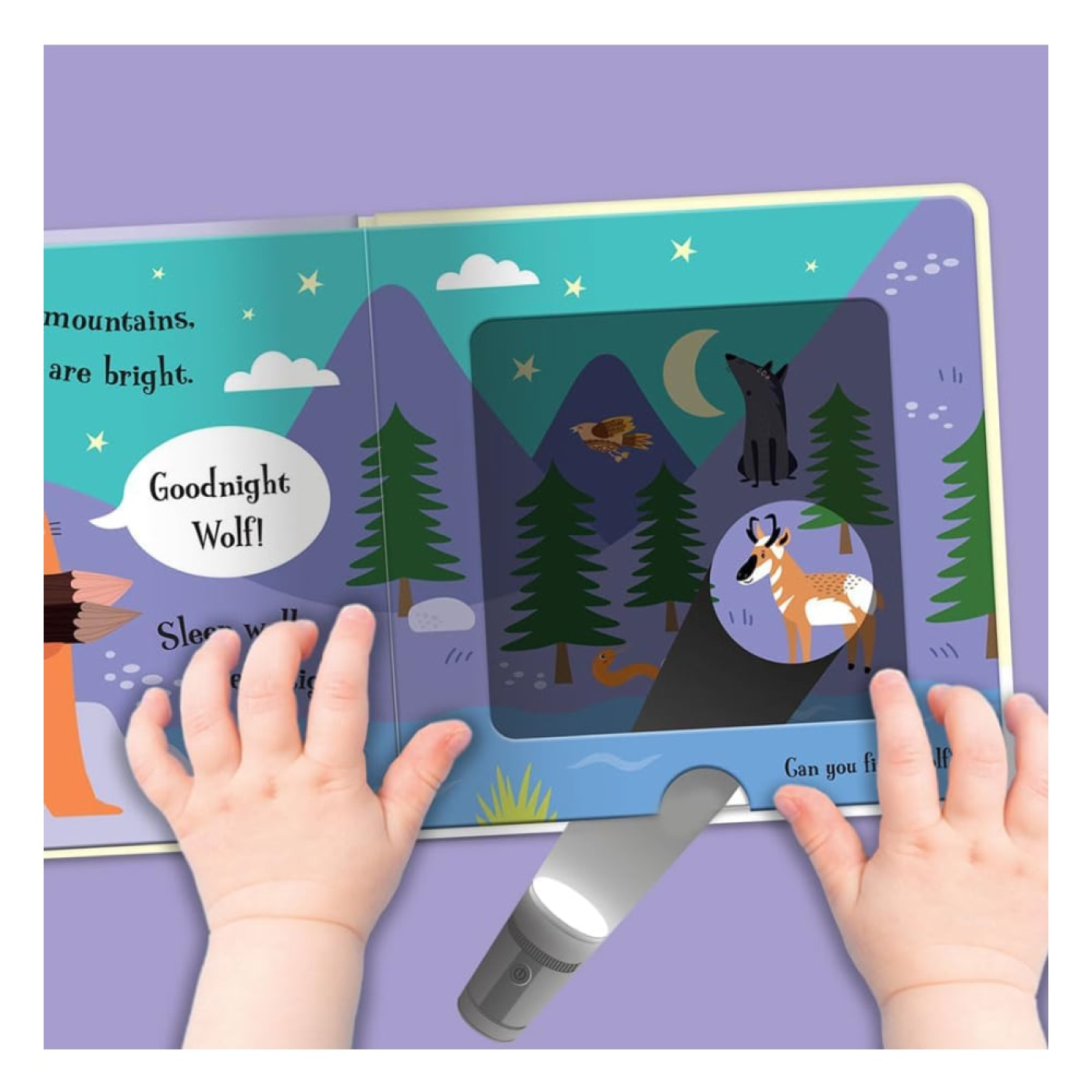 Imagine That - Goodnight Beaver - A Magic Torch Book - 9781801058643 - 9781801058643