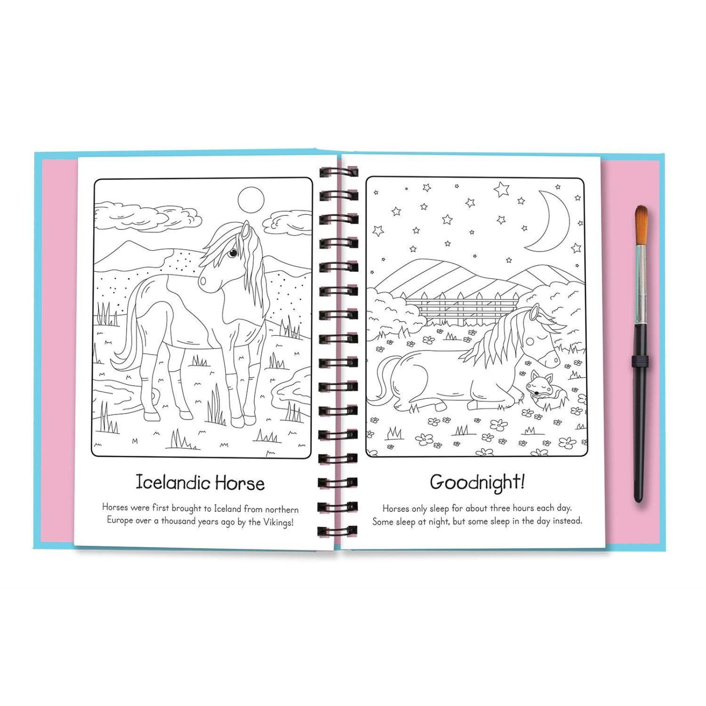 Manes And Tails Horses And Unicorns - 9781787009585 - 9781787009585