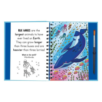 Imagine That - Splish And Splash - Under The Sea Imagine That - Splish And Splash - Under The Sea