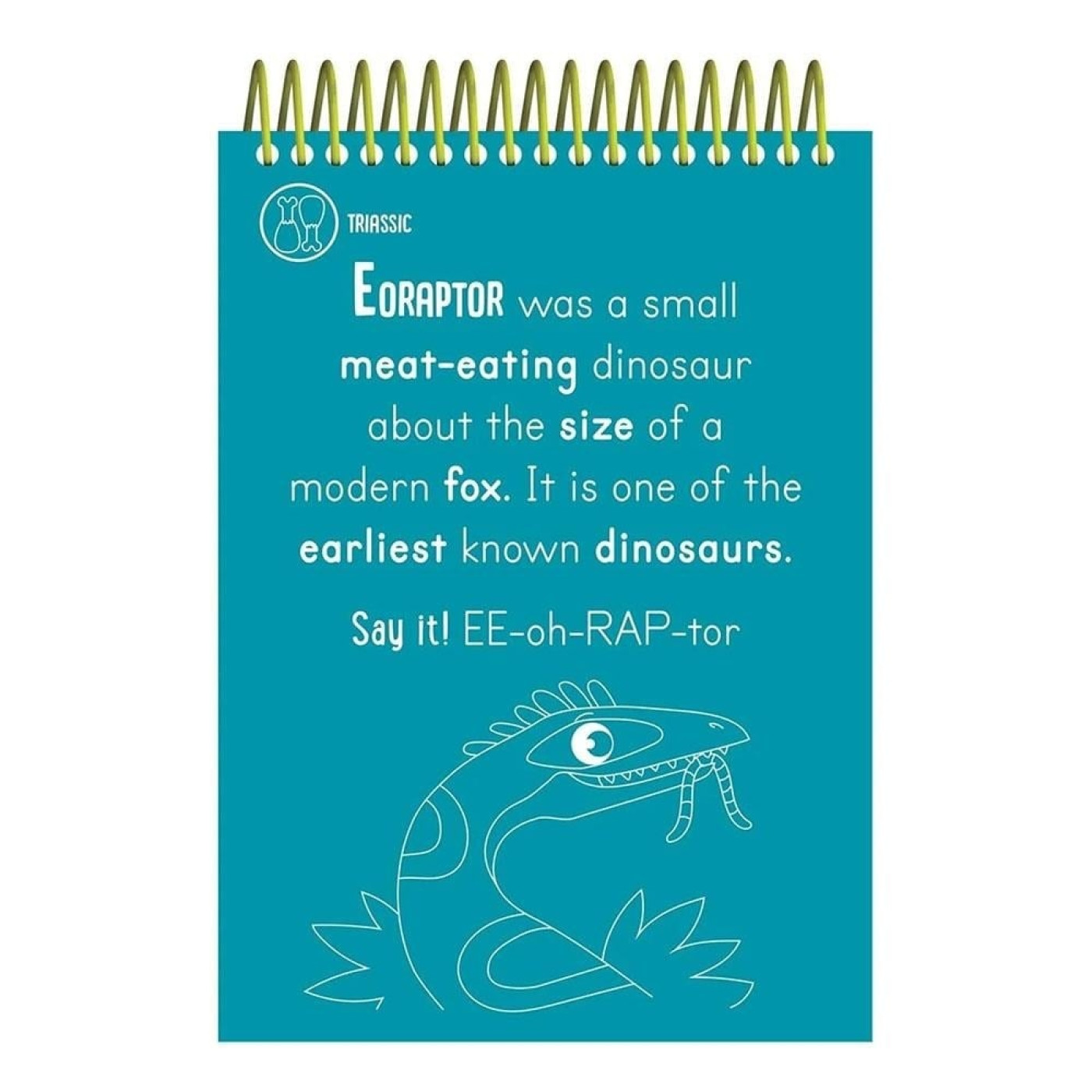 Scratch and Colour - Dinosaurs