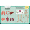 Human Body - Scratch, Discover And Learn Human Body - Scratch, Discover And Learn