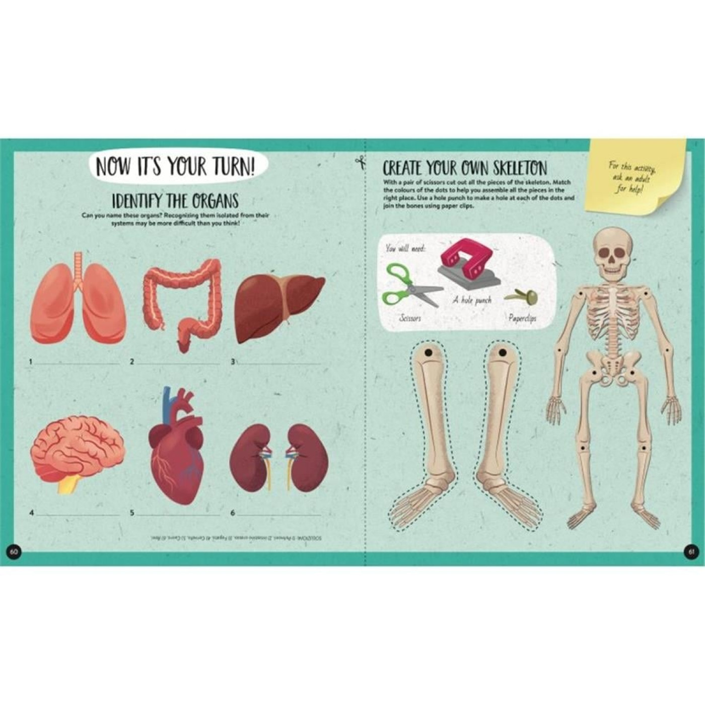 Human Body - Scratch, Discover And Learn Human Body - Scratch, Discover And Learn