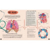 Human Body - Scratch, Discover And Learn Human Body - Scratch, Discover And Learn