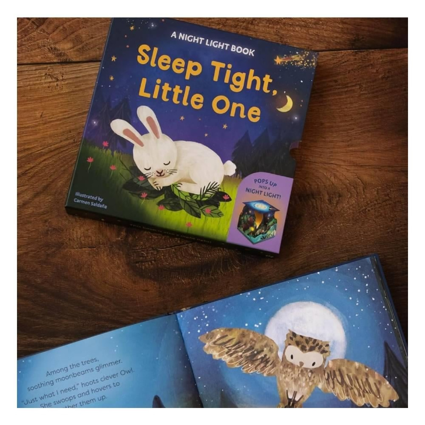 Sleep Tight Little One - A Night Light Book Sleep Tight Little One - A Night Light Book
