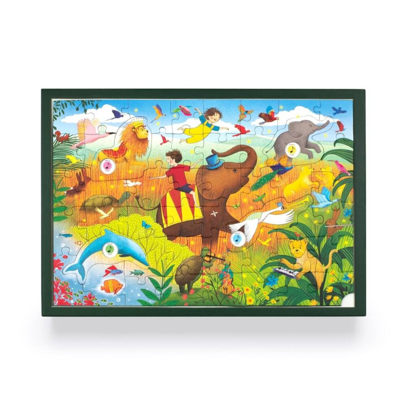 Story Orchestra: Carnival of the Animals: Musical Puzzle