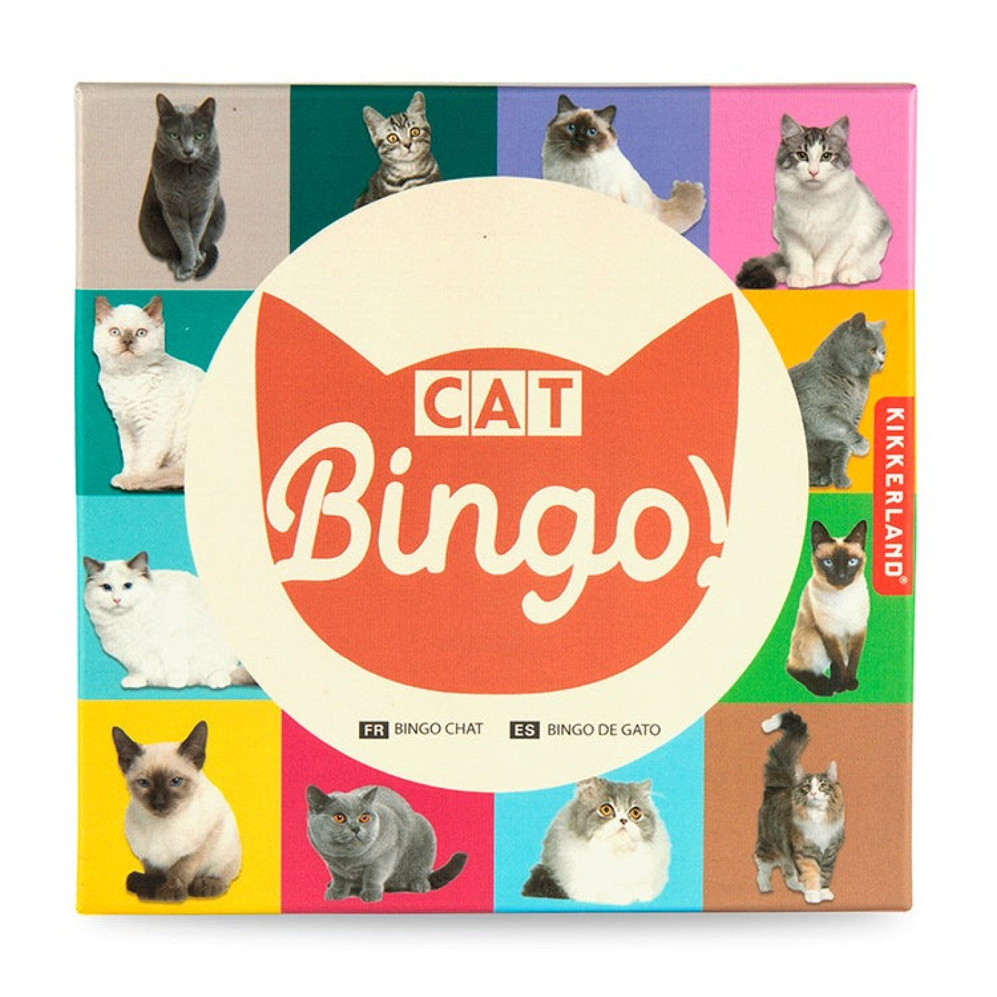 Kikkerland - Bingo Oyunu Kedi Kikkerland - Bingo Oyunu Kedi