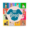 Kikkerland - Bingo Oyunu Köpek Kikkerland - Bingo Oyunu Köpek