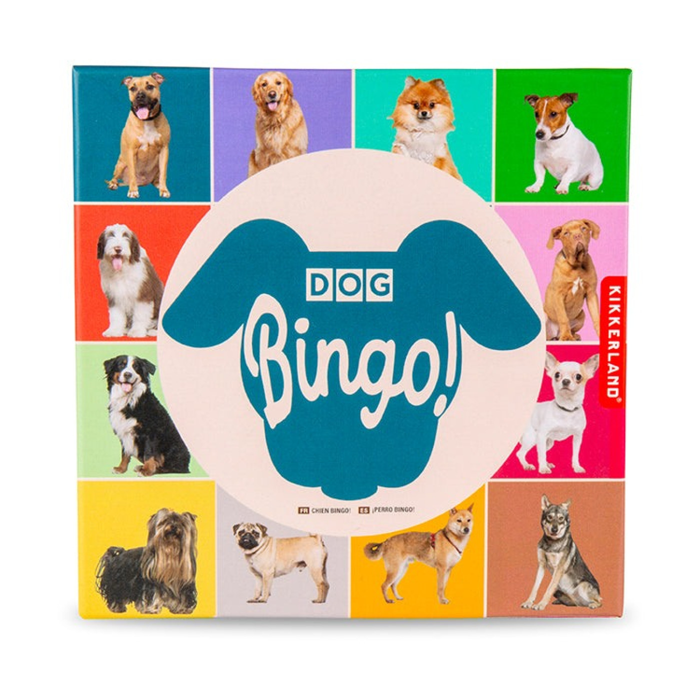 Kikkerland - Bingo Oyunu Köpek Kikkerland - Bingo Oyunu Köpek