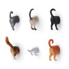 Kikkerland - Kedi Magnet 6 lı Kikkerland - Kedi Magnet 6 lı