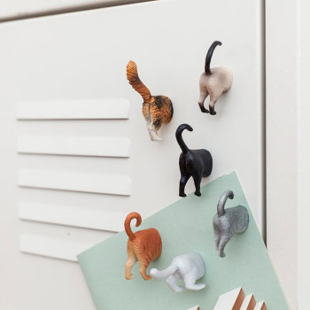 Kikkerland - Kedi Magnet 6 lı