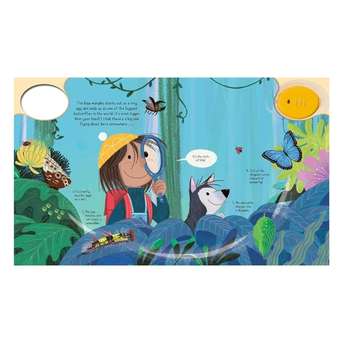 Magic Torch - Explore the Rainforest - 9781801044493 Magic Torch - Explore the Rainforest - ST01135 - 9781801044493