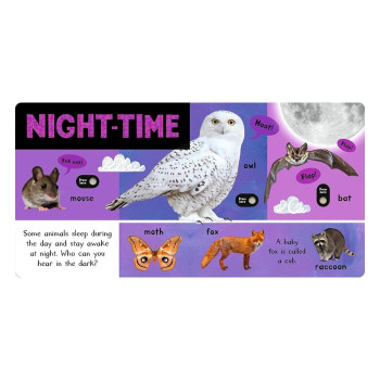 Noisy Animal World Noisy Animal World