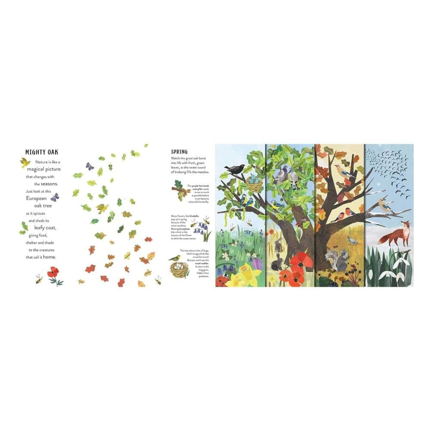 Seasons