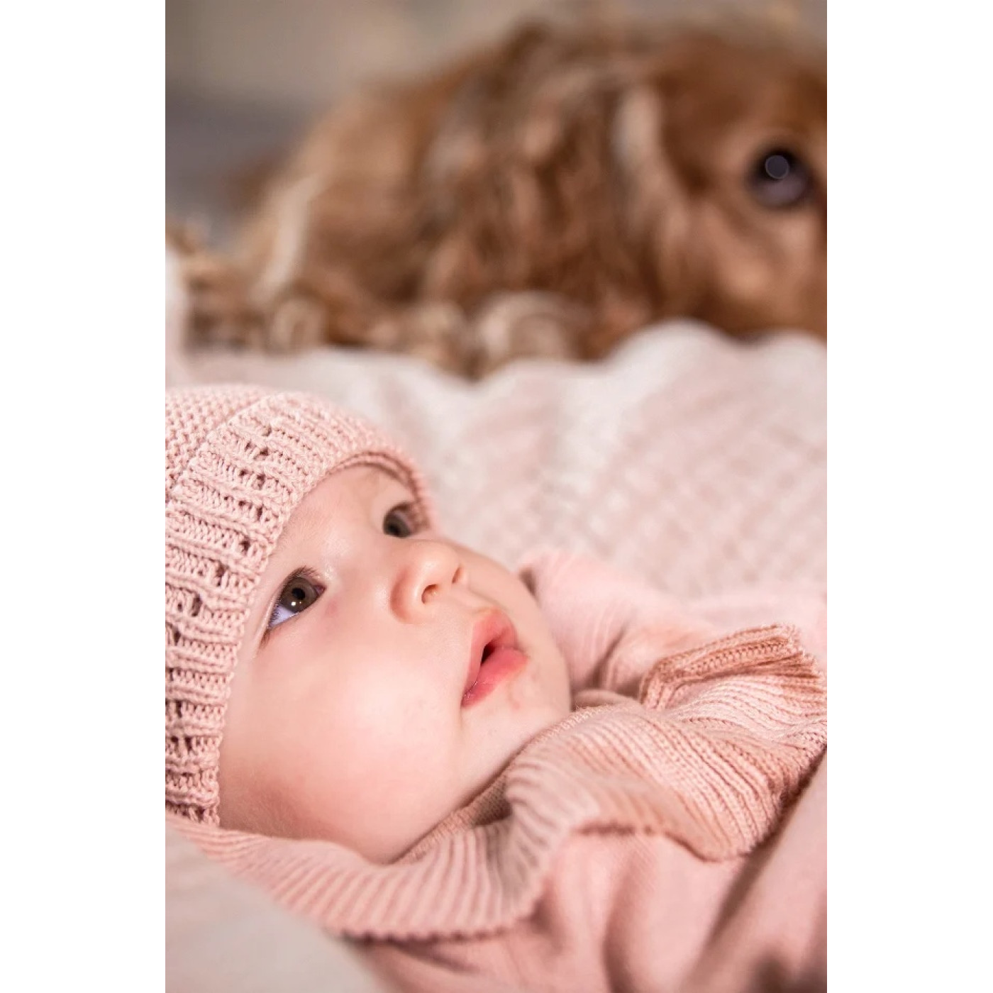 Lou Lou Baby Violet Triko Battaniye & Bere Set Pembe