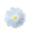 Meri Meri - Flower Garden Plates - Çiçek Bahçesi Tabaklar - S - 8li