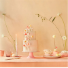 Meri Meri - Mushroom Birthday Candles - Mantar Doğum Günü Mumları - 6lı - 267466 - 636997280530