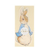 Meri Meri Meri Meri - Peter Rabbit Napkins - Peter Rabbit Peçete - 20'li - Doğum Günü Konseptleri Görseli
