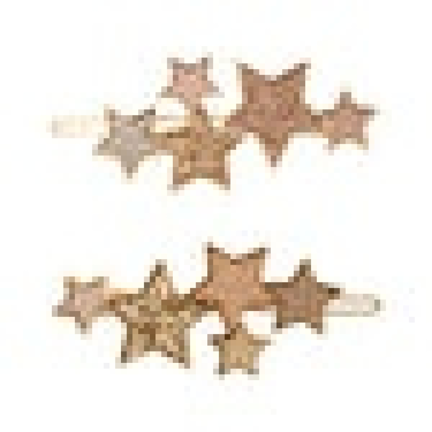 Mimi & Lula Starry Snap 2li Toka - 172135-21 - 5061064831592