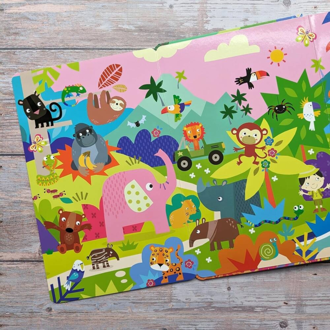 Animals (My First Look & Find Sound Book) - 9781839235931 - 9781839235931