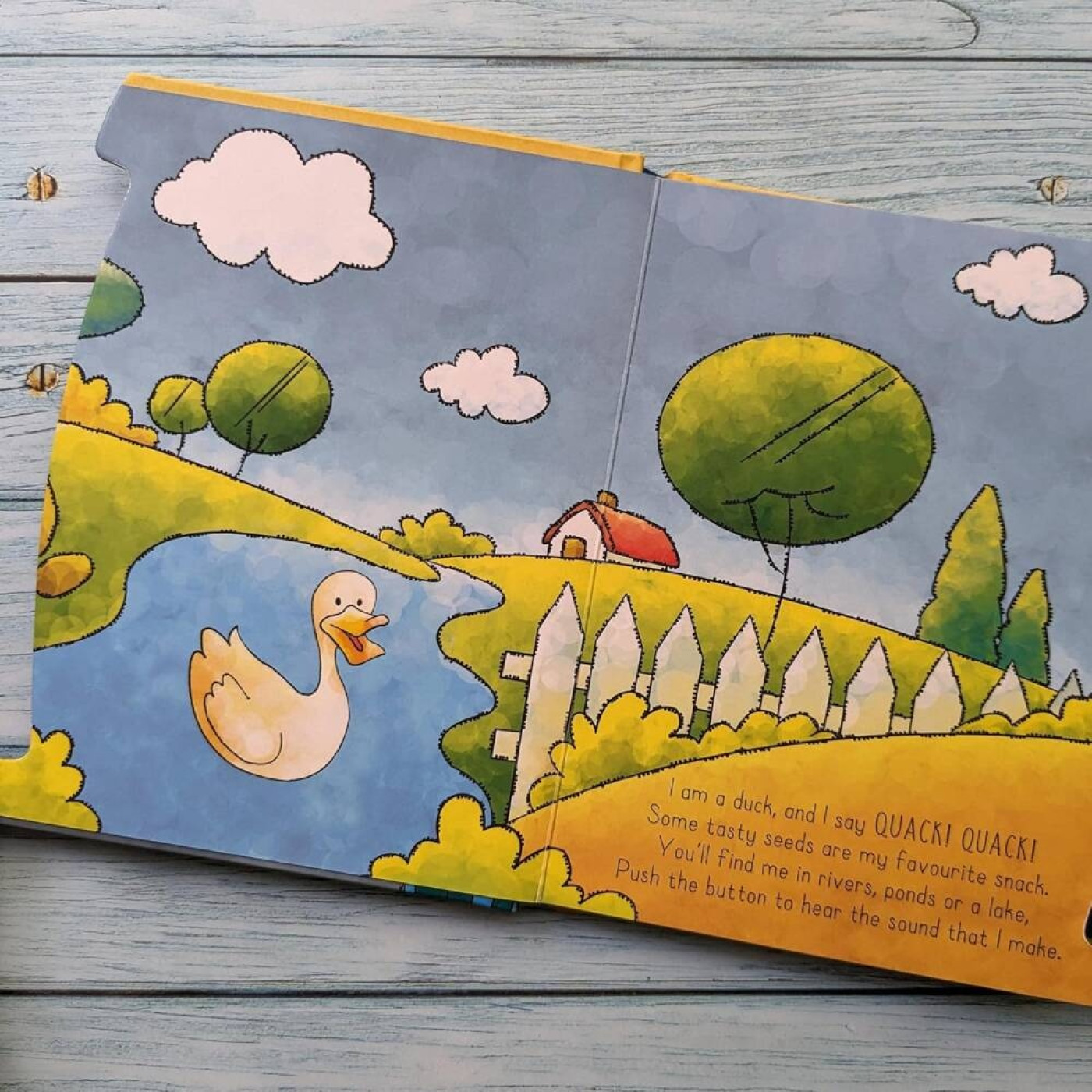 Birds (6 Button Sound Book) - 9780755460342 - 9780755460342