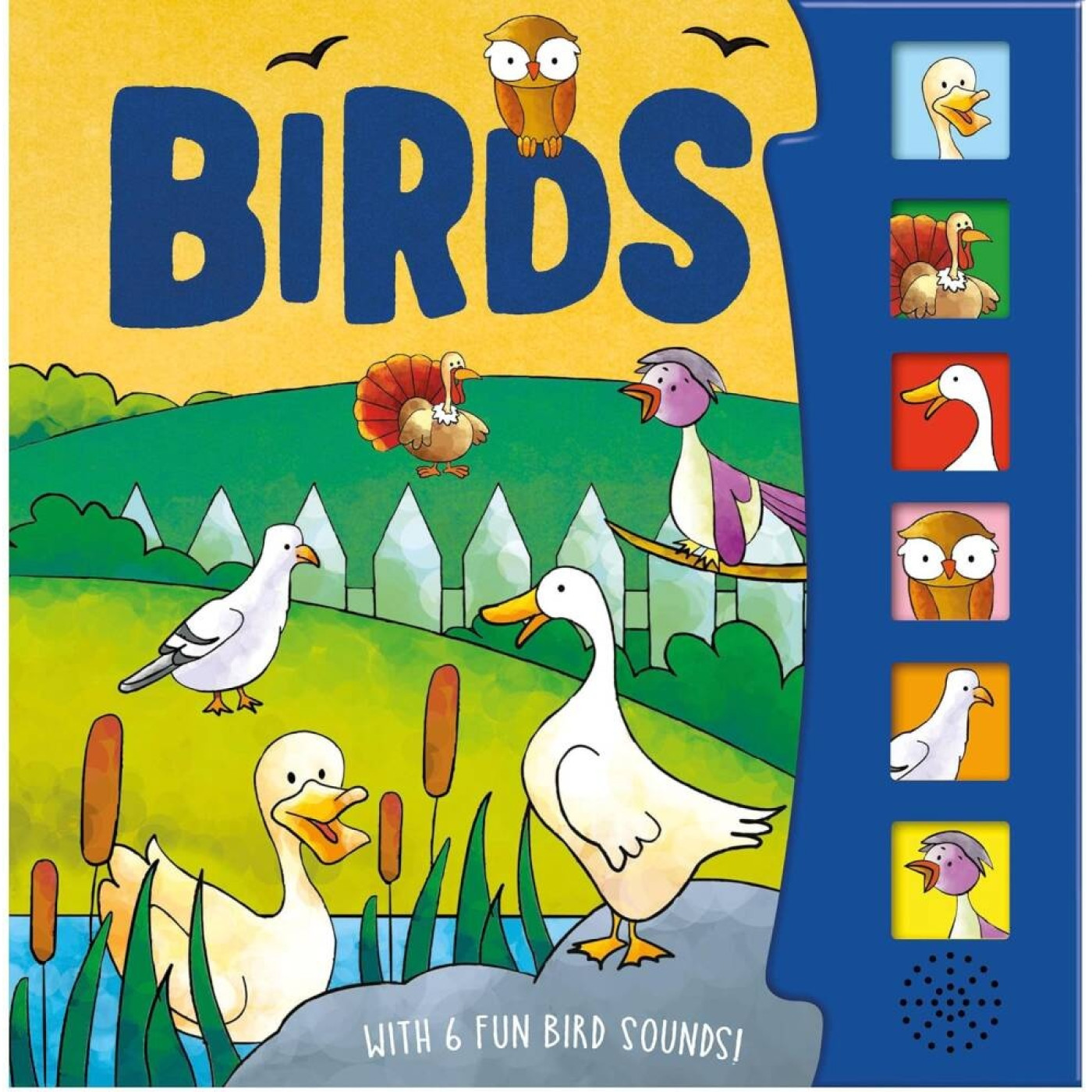 Birds (6 Button Sound Book) - 9780755460342 - 9780755460342