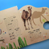 Habitats: From All Around the World
