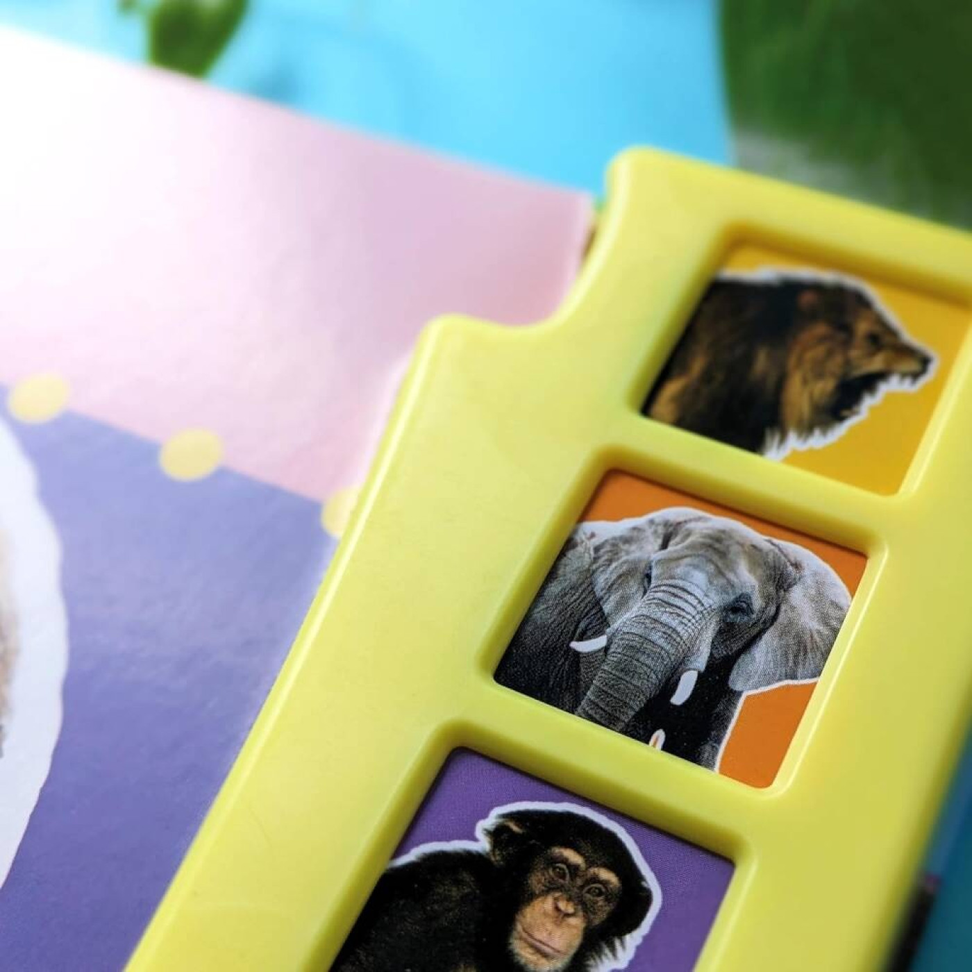 In the Wild (6 Button Sound Book) - 9780755480678 - 9780755480678