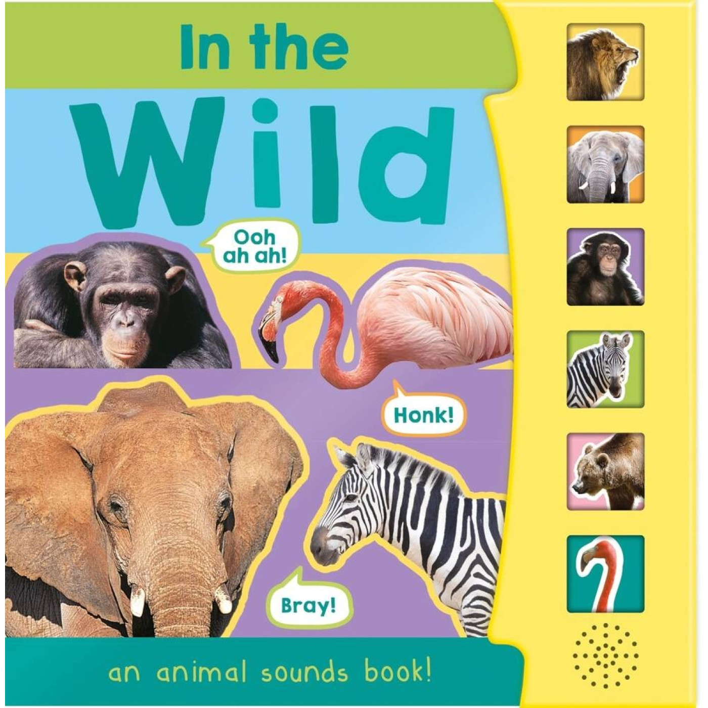In the Wild (6 Button Sound Book) - 9780755480678 - 9780755480678