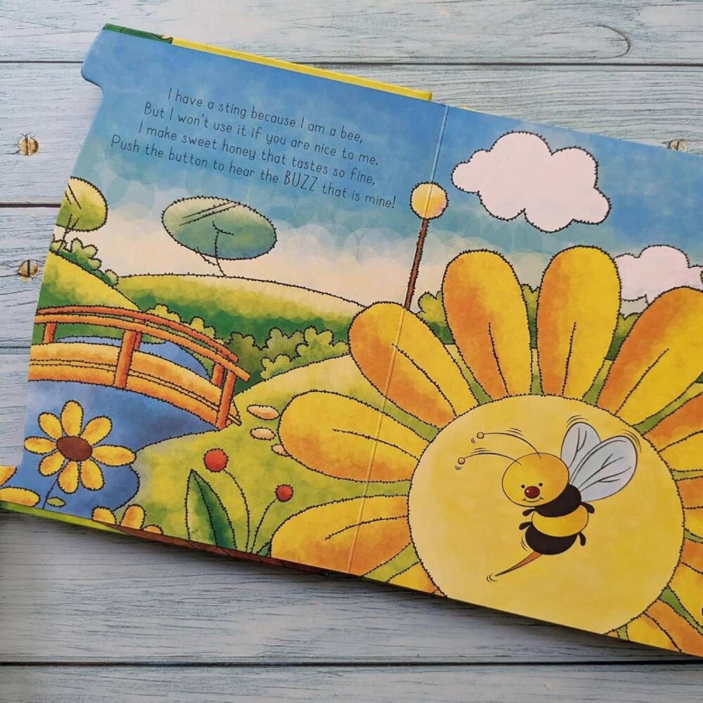 Insects (6 Button Sound Book) - 9780755460366 - 9780755460366