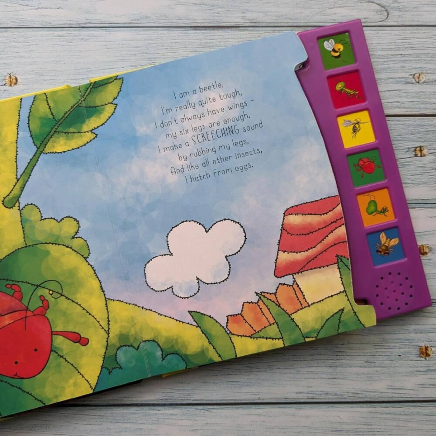 Insects (6 Button Sound Book) - 9780755460366 - 9780755460366