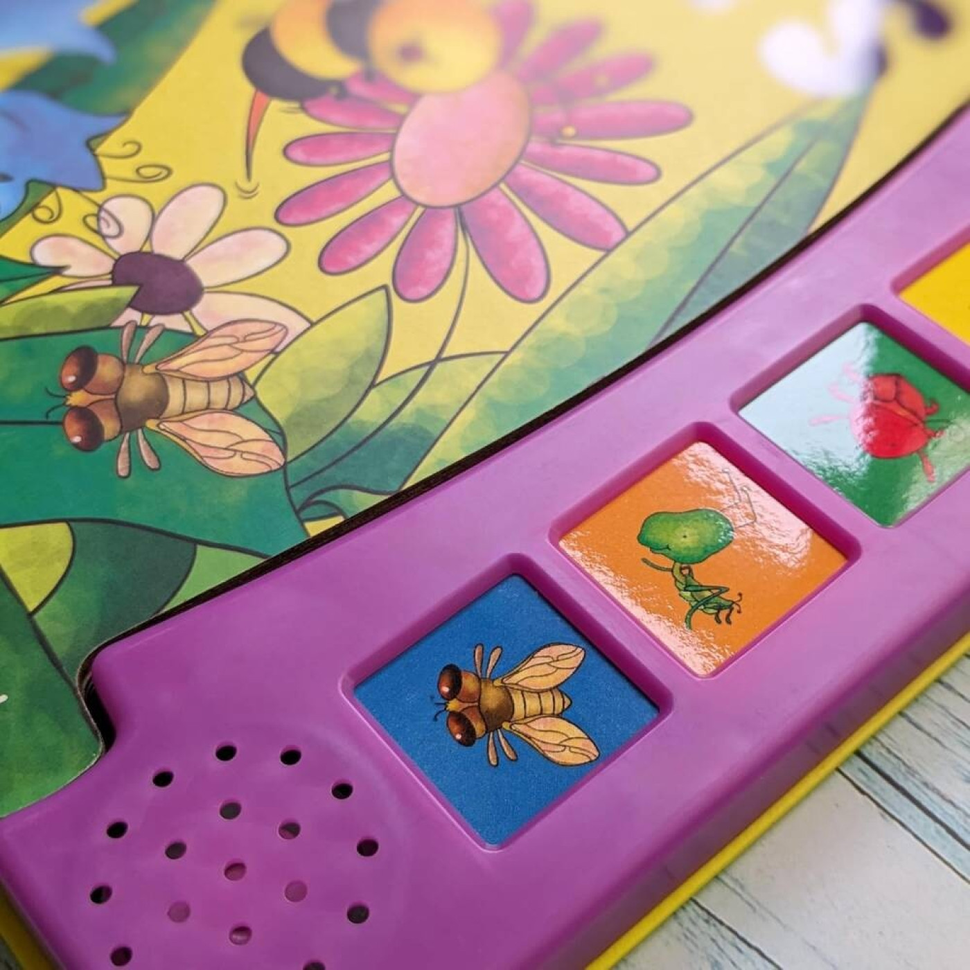 Insects (6 Button Sound Book) - 9780755460366 - 9780755460366