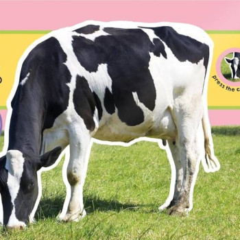 On the Farm (6 Button Sound Book)