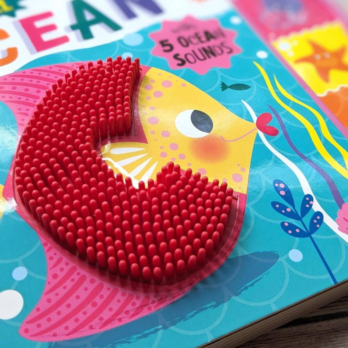 Touch & Feel in the Ocean