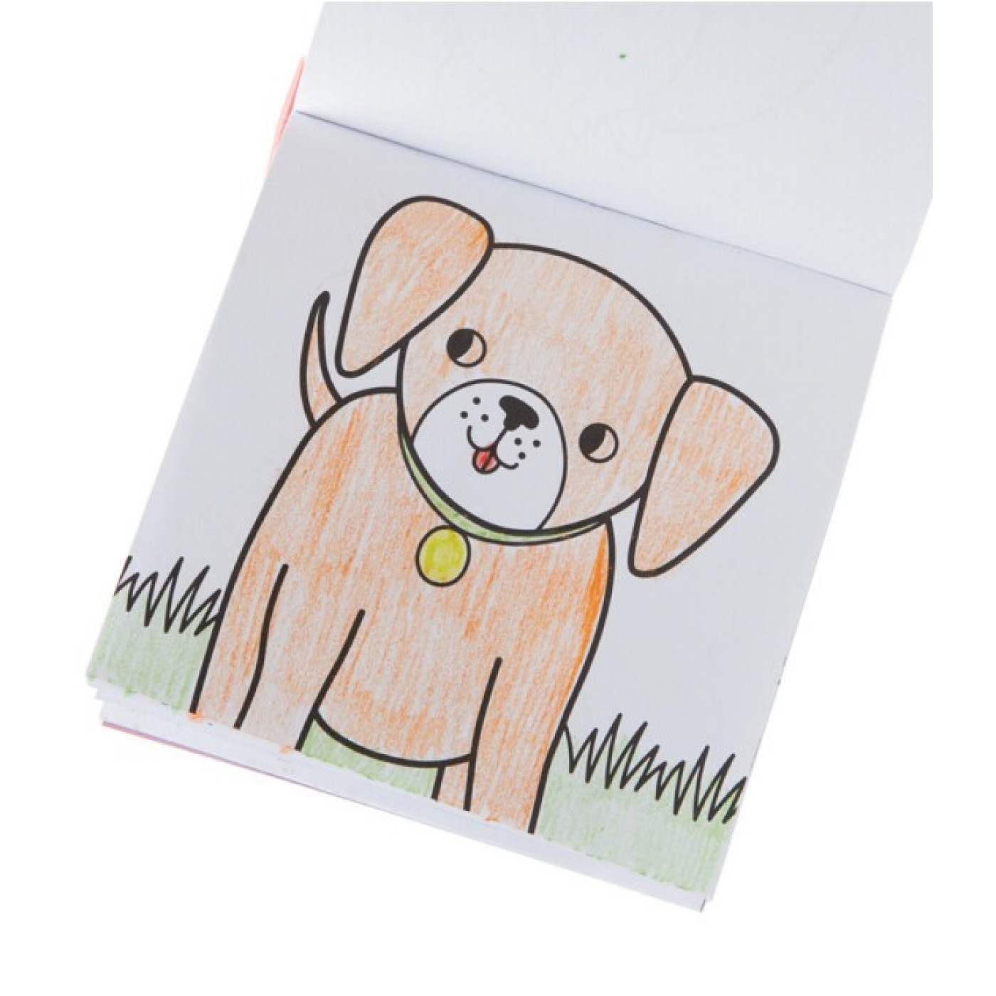 Ooly Carry Along Boyama Seti - Pet Pals - 138-021 - 810078038849